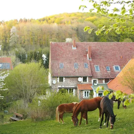 Eichenhof Апартаменты *