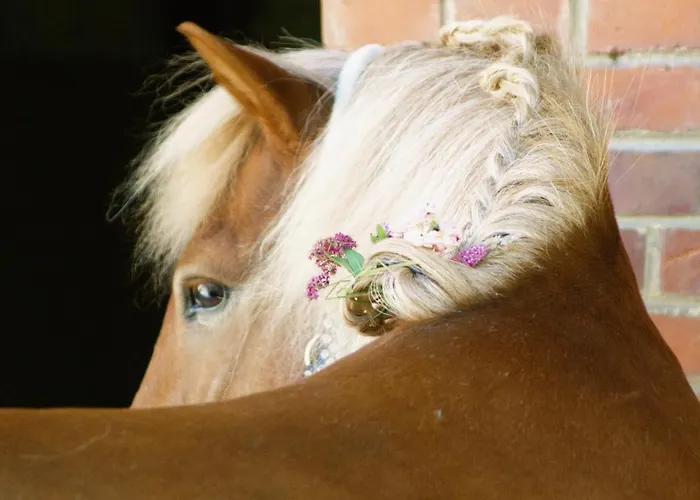 Eichenhof * Kalletal